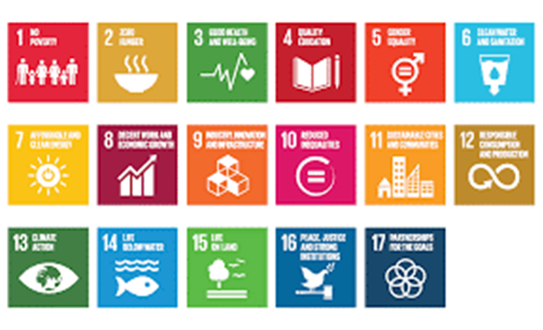 20210125 Sdg1