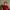 Anouk Op 'T Veld.2 480X480